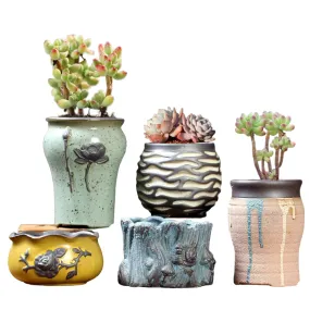 5 Pack Elegant Garden Small Succulent Plant Pots