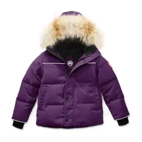 Canada Goose Snowy Owl Parka Arctic Dusk