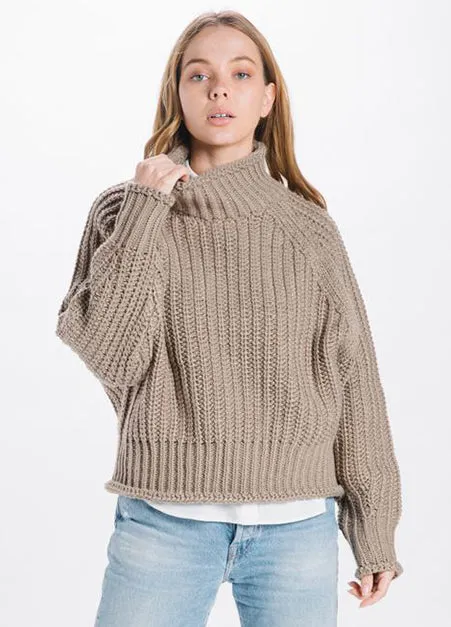 Chunky Turtleneck Sweater