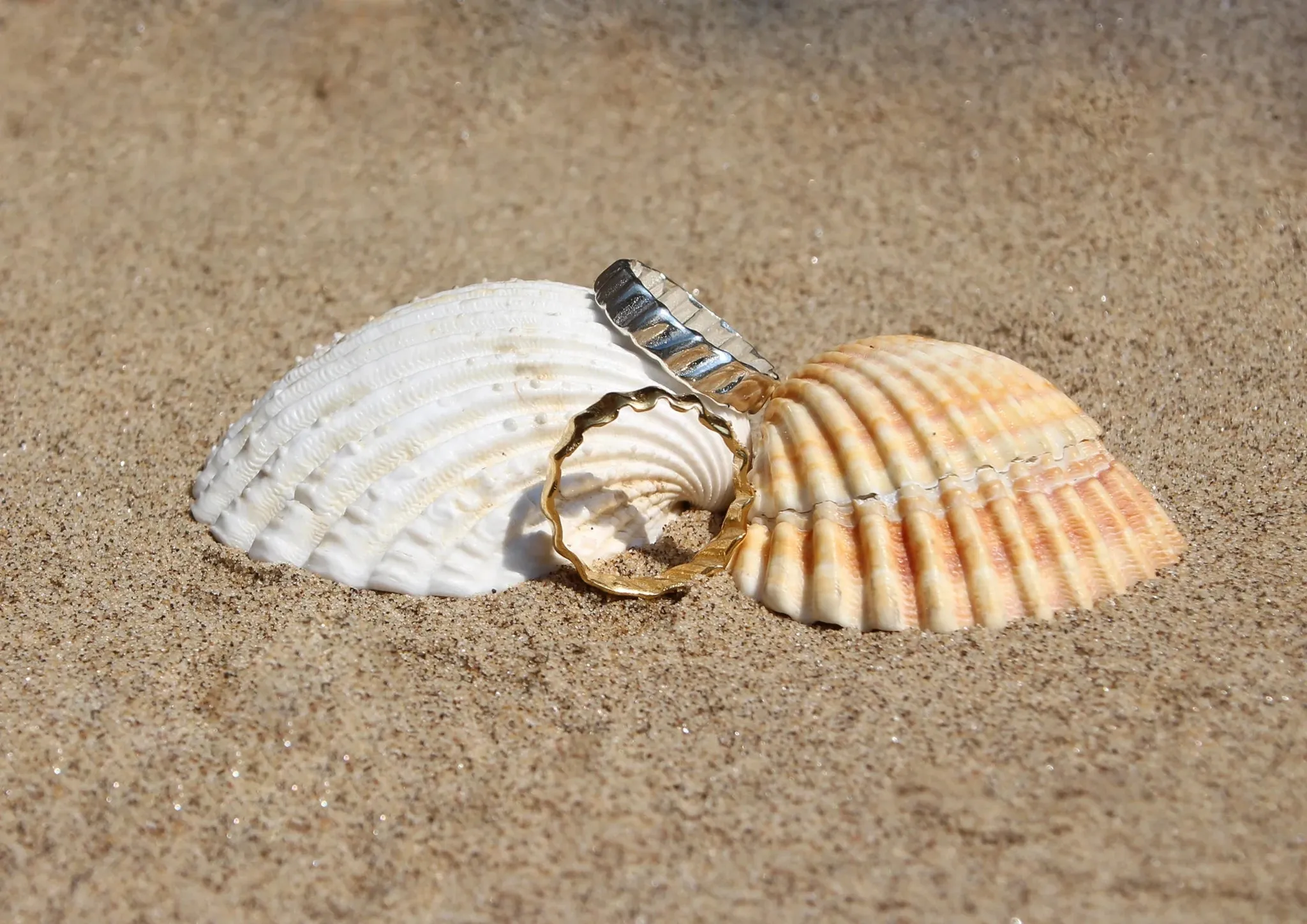 Cockle Ring in Silver by Hannah Bourn