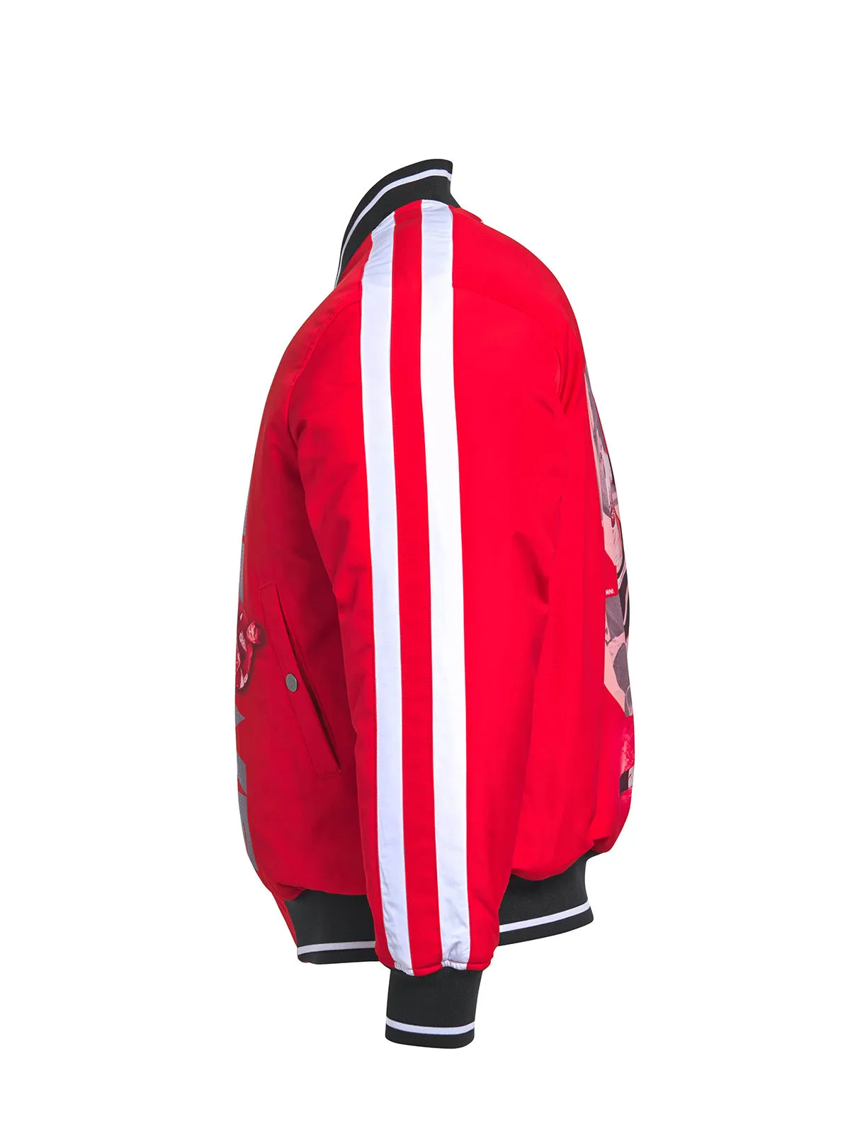 Gordie Howe Reversible Bomber