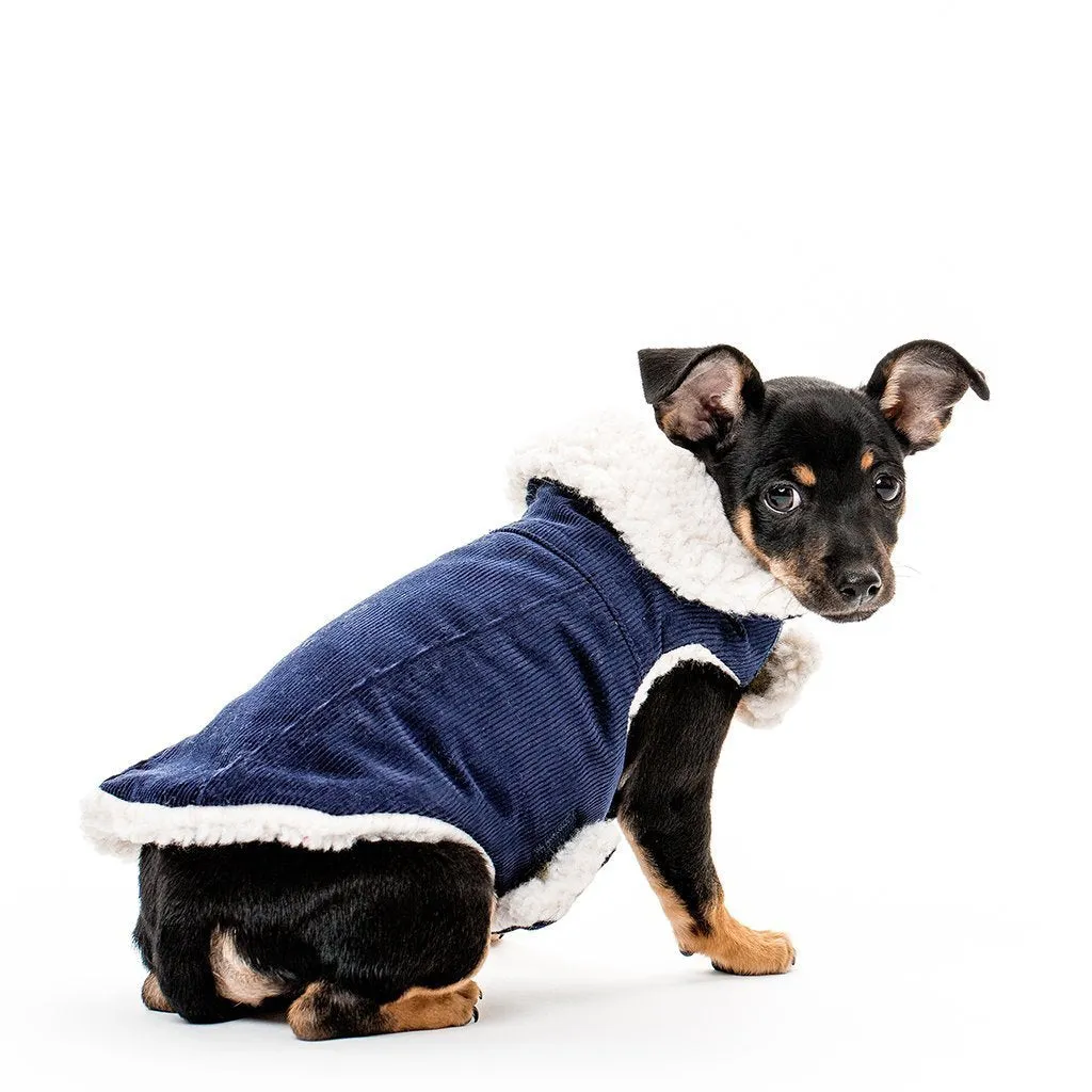 Modern Classic Dog Coat Navy