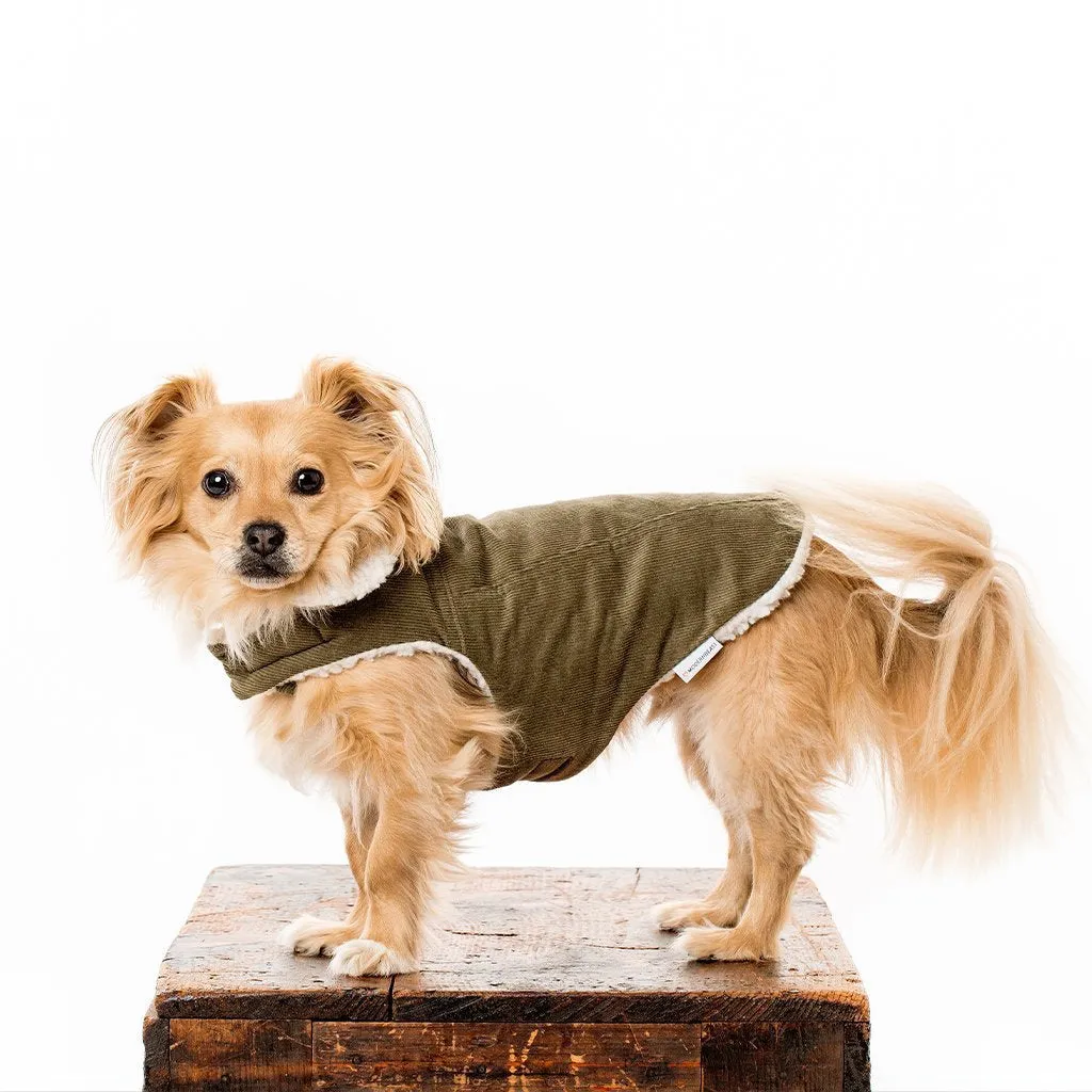 Modern Classic Dog Coat Olive