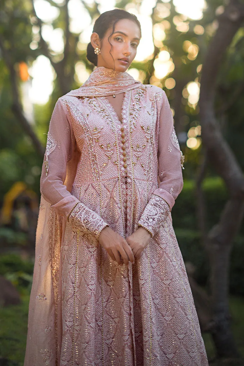 Mushq Roohi Luxury Wedding Formals – Aanya