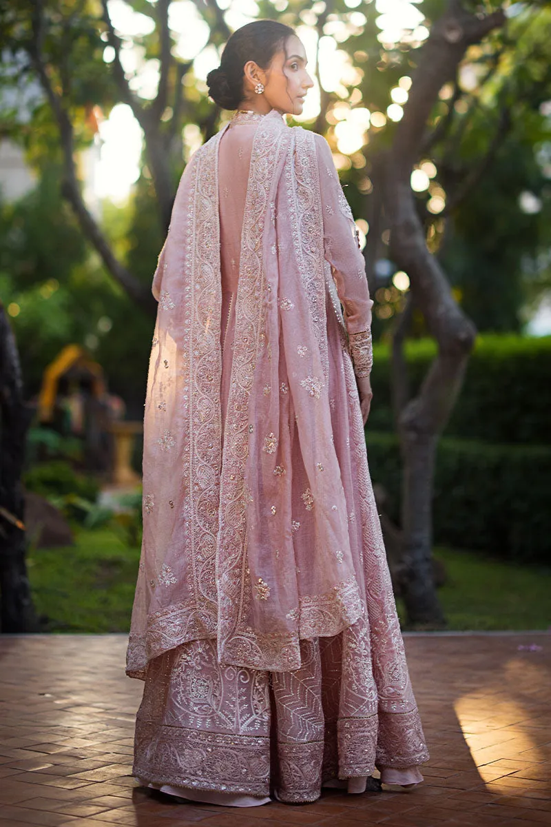 Mushq Roohi Luxury Wedding Formals – Aanya