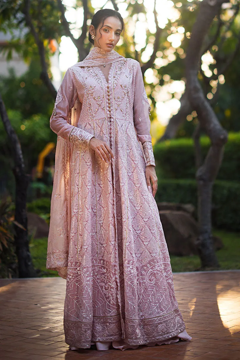 Mushq Roohi Luxury Wedding Formals – Aanya