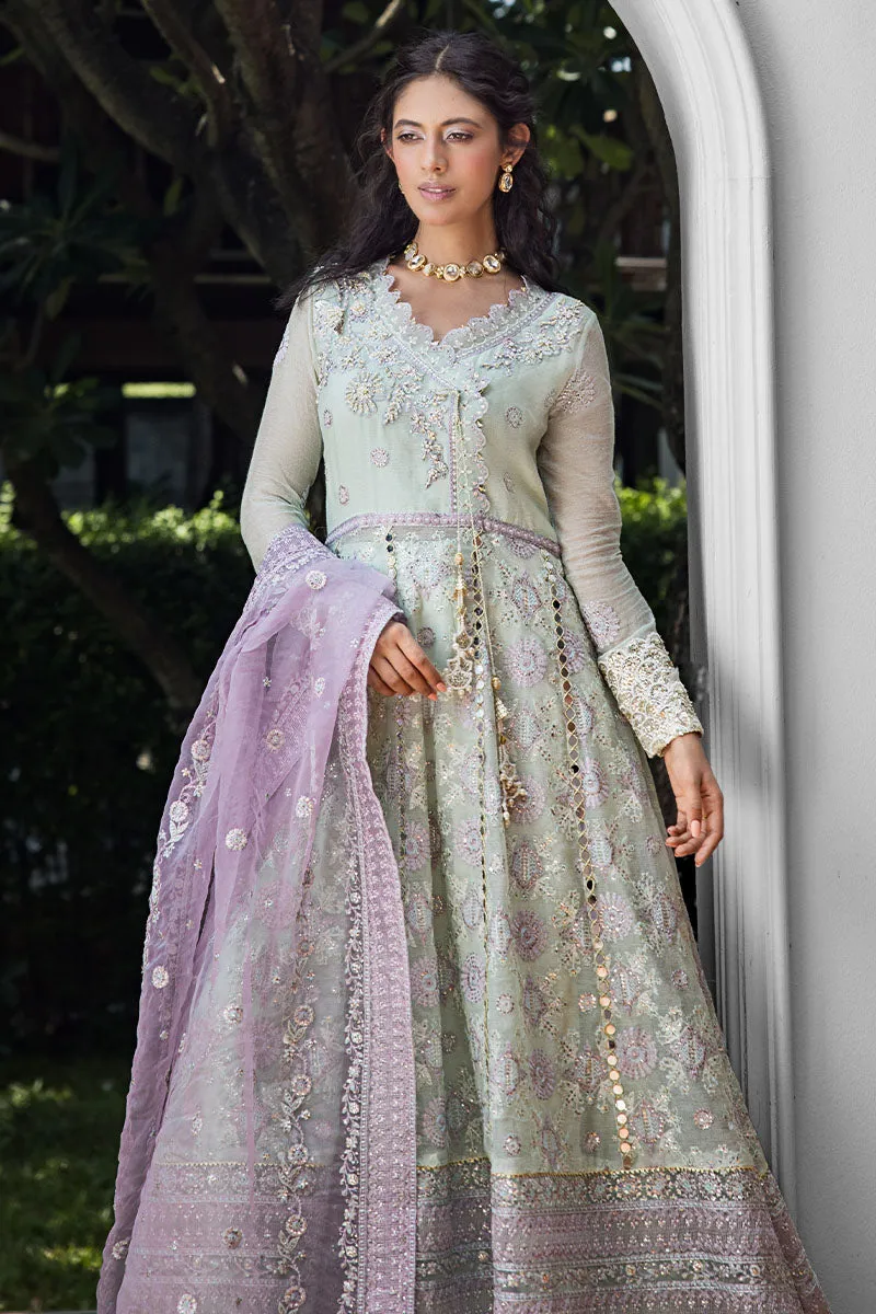 Mushq Roohi Luxury Wedding Formals – Aara