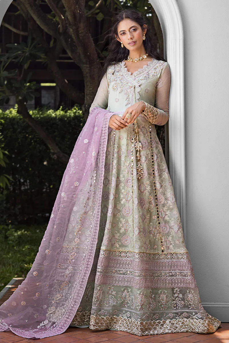 Mushq Roohi Luxury Wedding Formals – Aara