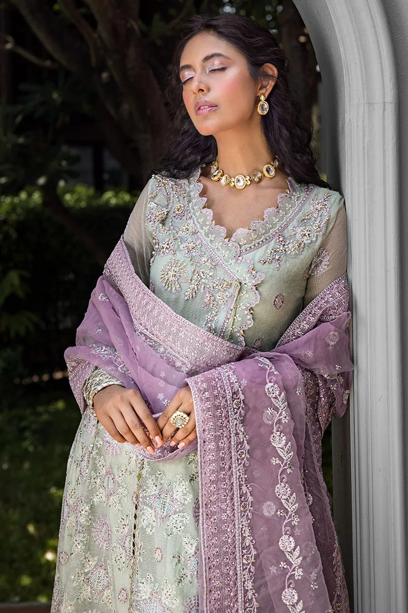 Mushq Roohi Luxury Wedding Formals – Aara