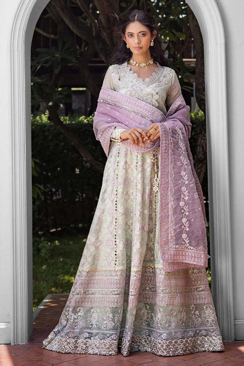 Mushq Roohi Luxury Wedding Formals – Aara