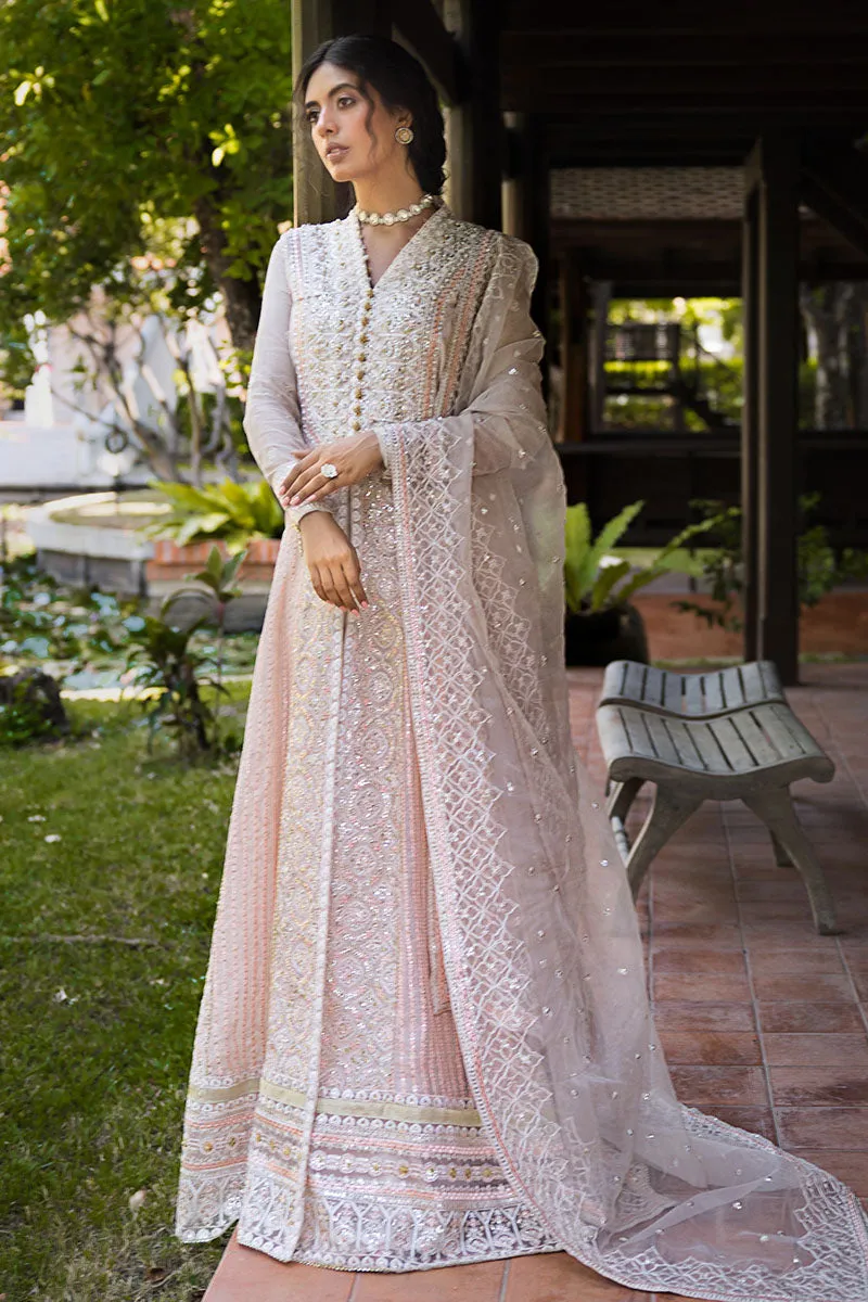 Mushq Roohi Luxury Wedding Formals – Anika