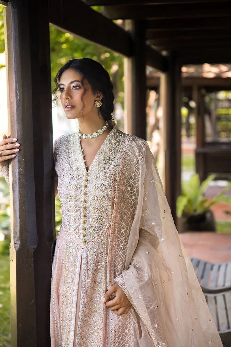 Mushq Roohi Luxury Wedding Formals – Anika