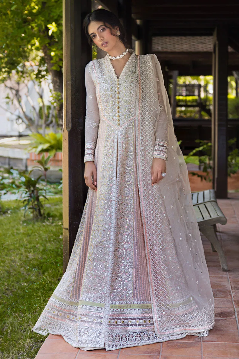 Mushq Roohi Luxury Wedding Formals – Anika