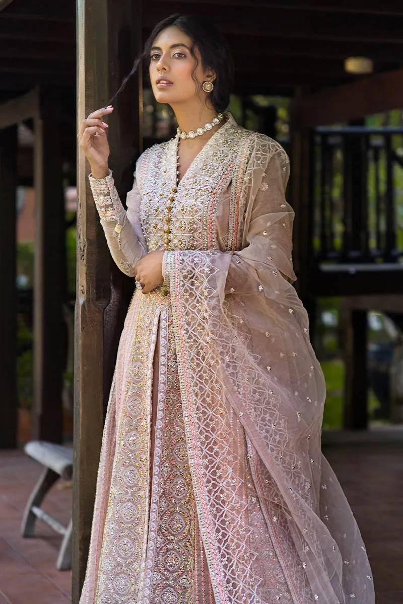 Mushq Roohi Luxury Wedding Formals – Anika