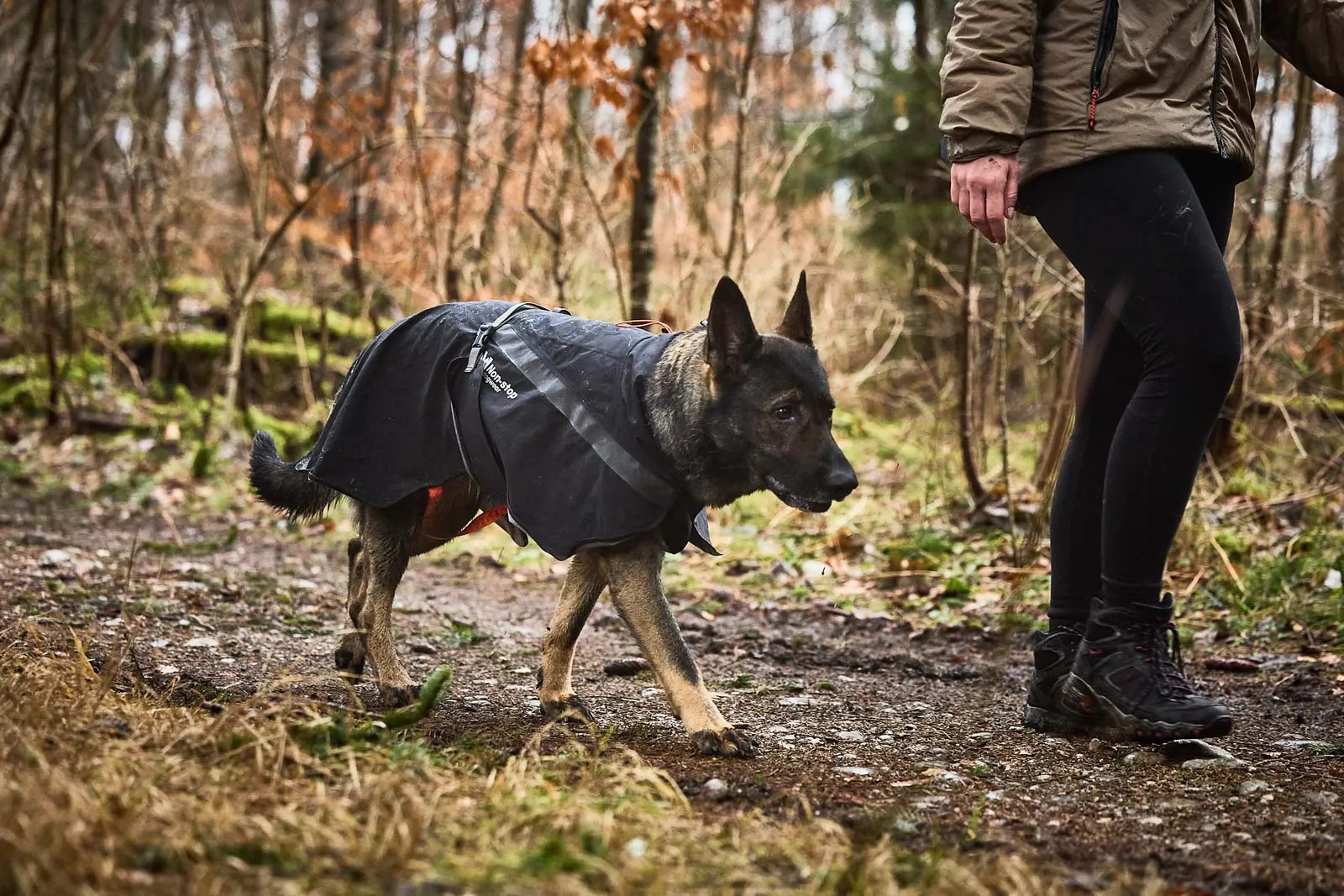 Non-stop - Trekking Dog Raincoat *Black Friday Offer*