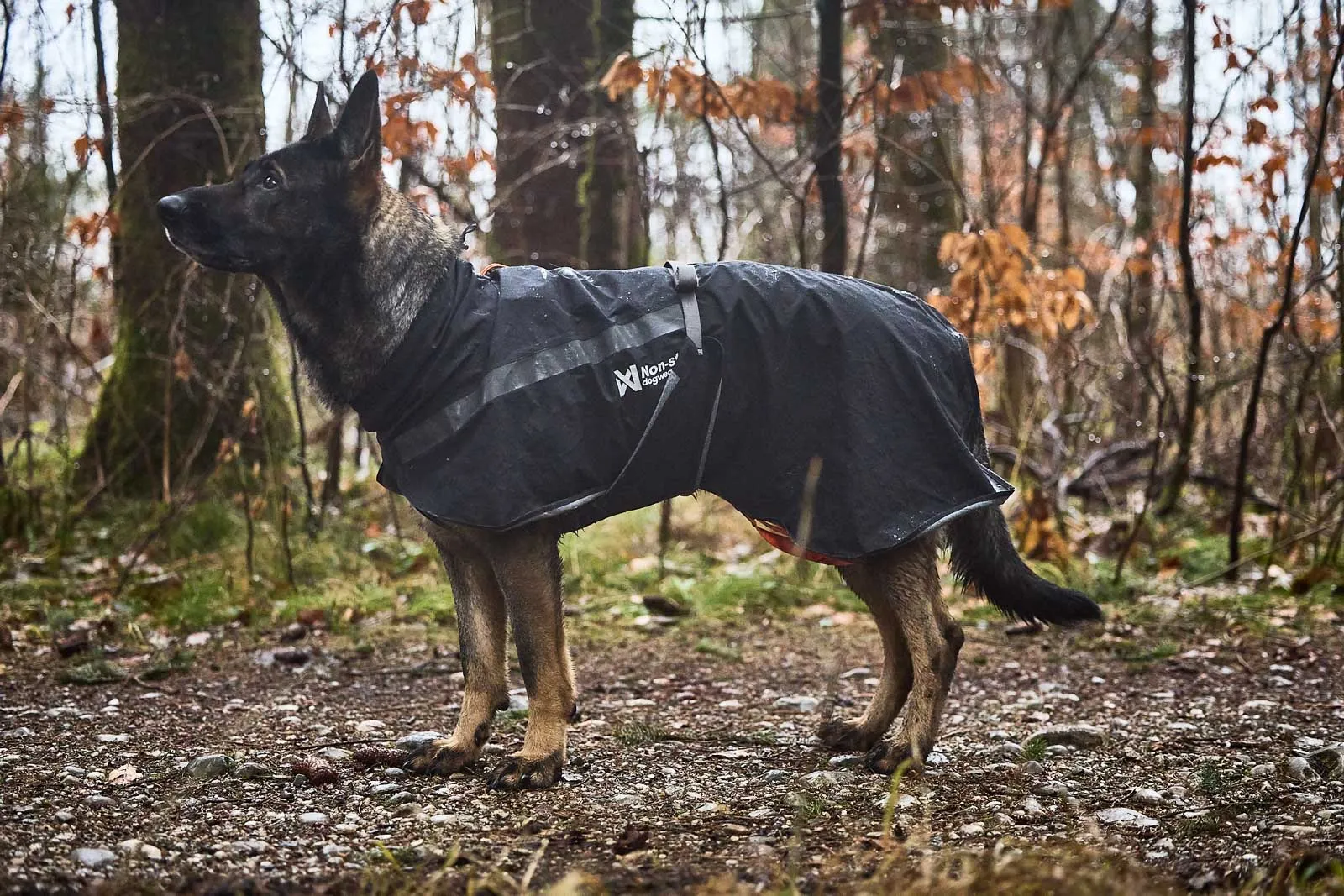 Non-stop - Trekking Dog Raincoat *Black Friday Offer*