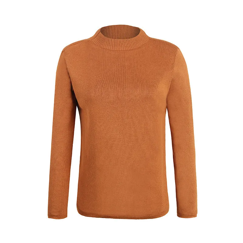 Plush Turtle Neck Plain Women Sweater