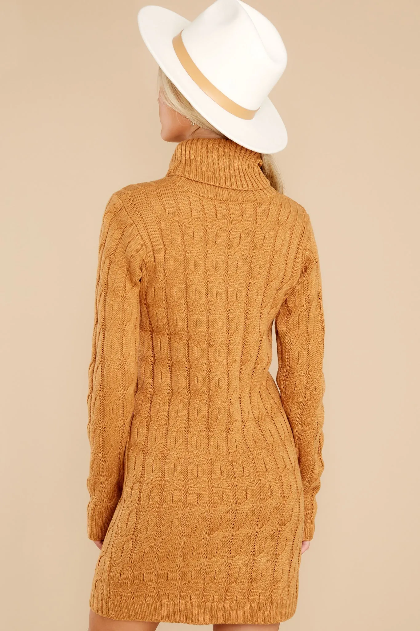 Season's Greetings Camel Sweater Dress